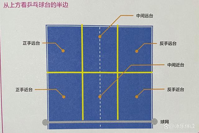 乒乓球发球规则(乒乓球发球规则详解)